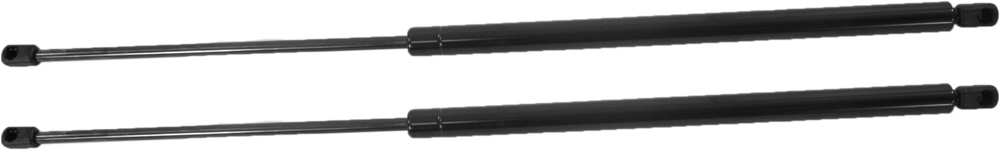 AM MURANO 09-12 LIFT SUPPORT RH and LH Hood SKU SET RN13110001-2 OEM 654701AA0A 654711AA0A