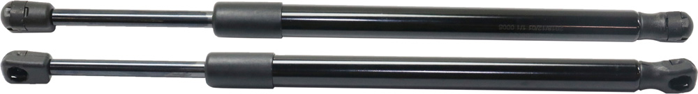 AM TITAN 05-15 LIFT SUPPORT RH AND LH Tailgate SKU SET RN61290003-2 OEM 90450ZH000
