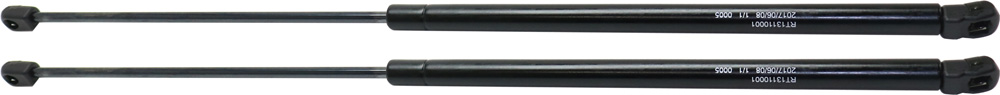 AM AVALON 13-18 CAMRY 12-17 LIFT SUPPORT RH AND LH Hood SKU SET RT13110001-2 OEM 5344006091-5345006081