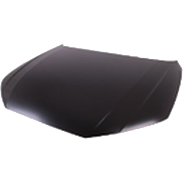 AM Hood SKU SHMAUA417280 Partslink AU1230130 OEM 8W0823029A