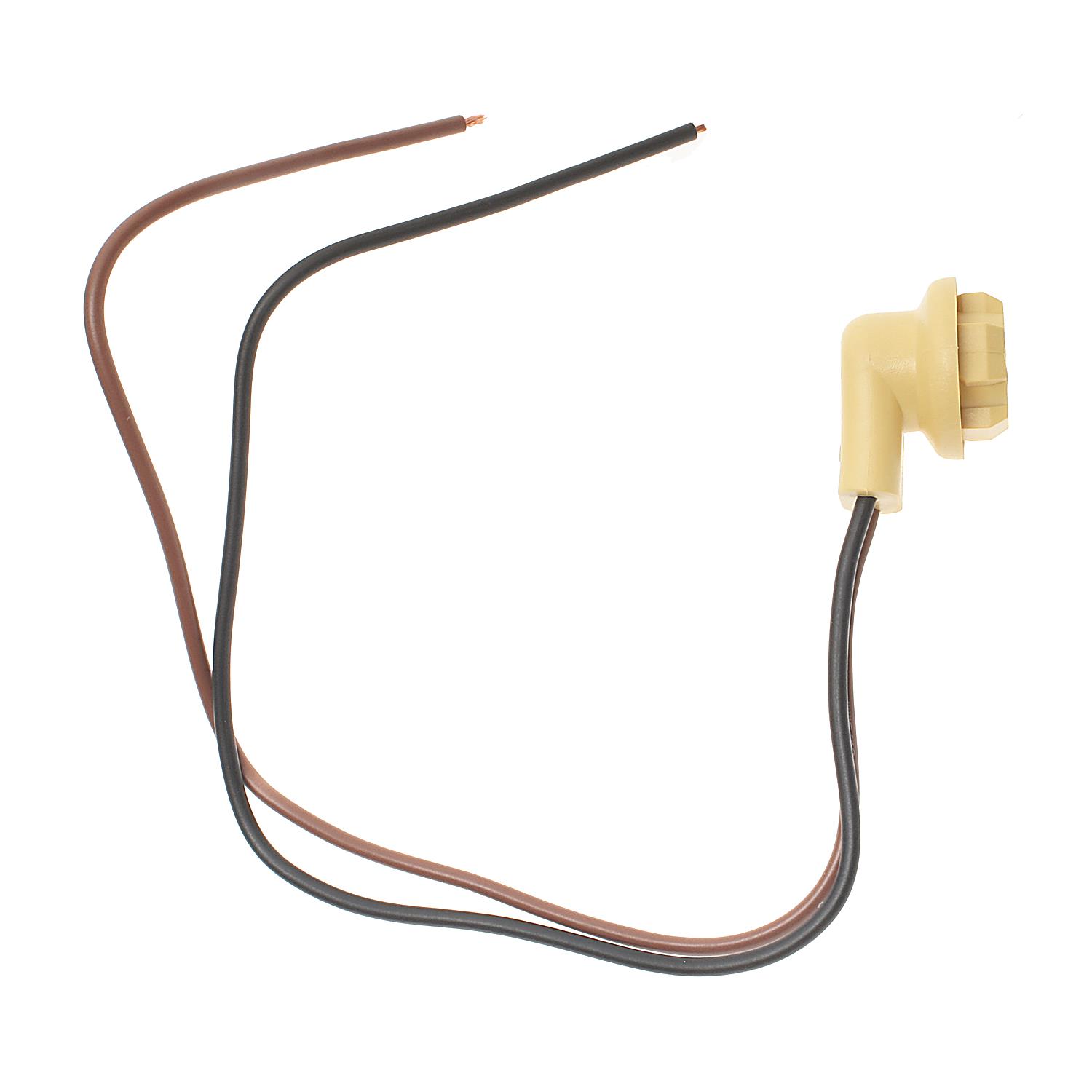 AM Bulb Socket SKU SIS95