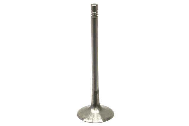 AM Intake Valve SKU TRW331125 OEM 06J106601H 06D109601M 07910960
