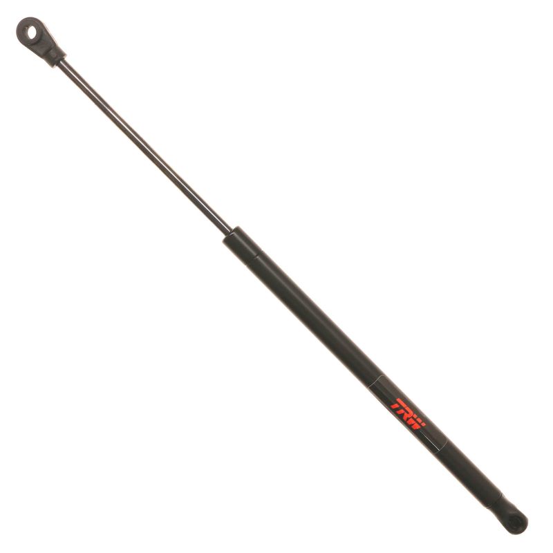 AM Lift Support SKU TRWTSG304001 OEM F2DZ16C826B