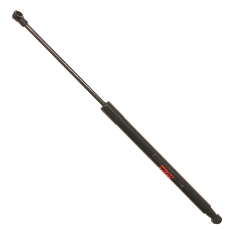 AM Lift Support SKU TRWTSG329045 OEM 6895002110-6895002200-68950022
