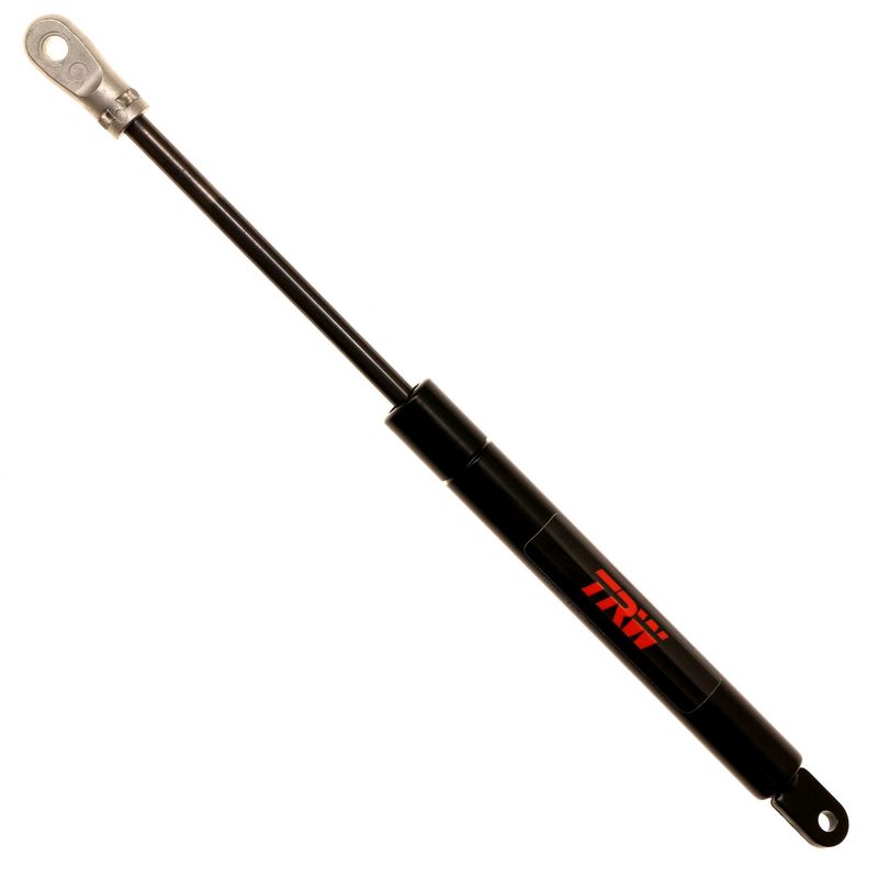 AM Lift Support SKU TRWTSG406010 OEM 91151133100