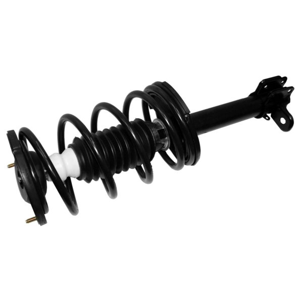 AM Shock Absorber and Strut Assembly SKU TS171579