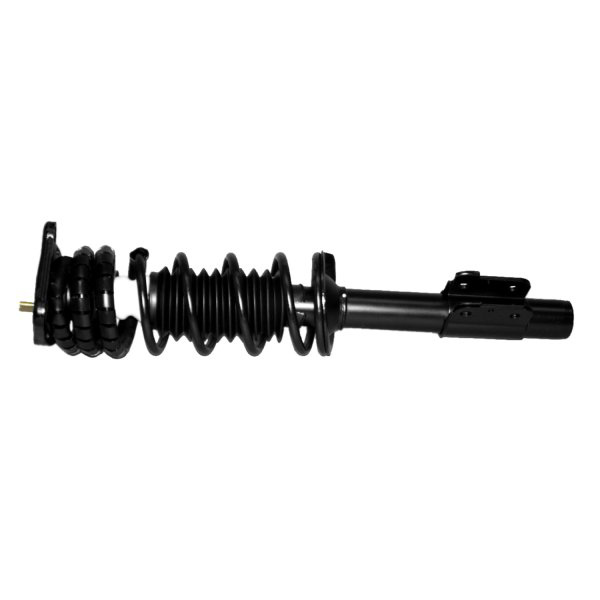 AM Shock Absorber and Strut Assembly SKU TS171686 OEM LS56928-15130-812071-270124873