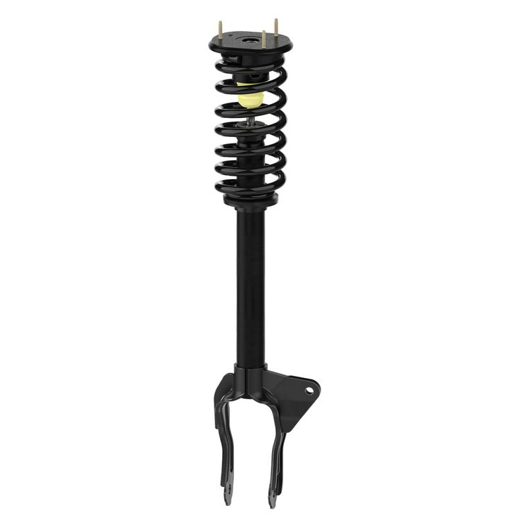 AM Shock Absorber and Strut Assembly SKU TS173077 OEM 1345906R 173077-11226-920270-6