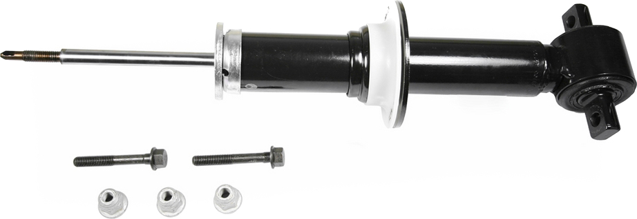 AM Shock Absorber and Strut Assembly SKU TS39105 OEM RS55784-25870894-25980102-3363