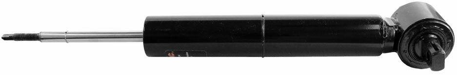 AM Shock Absorber and Strut Assembly SKU TS39112 OEM 23106628-84043175-23338854