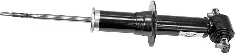 AM Shock Absorber and Strut Assembly SKU TS40049 OEM 19300036-20810270-20810269-193