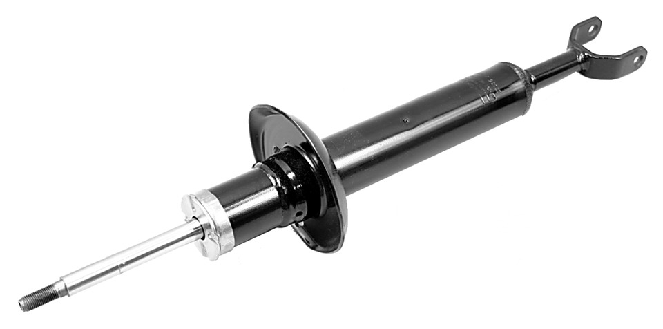 AM Shock Absorber and Strut Assembly SKU TS71305
