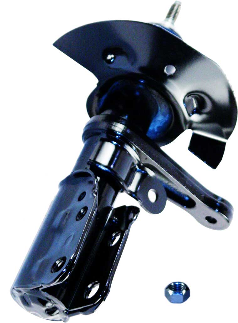 AM Shock Absorber and Strut Assembly SKU TS71922