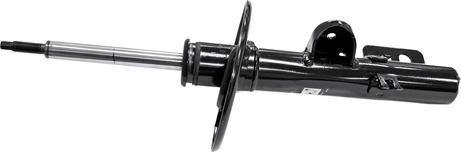 AM Shock Absorber and Strut Assembly SKU TS72532 OEM AA5Z18124D AST473 AA5Z18124F B