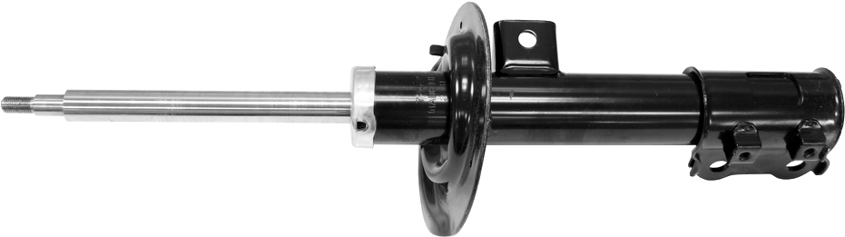 AM Shock Absorber and Strut Assembly SKU TS72585 OEM 7872585-72585-3340102-333504R