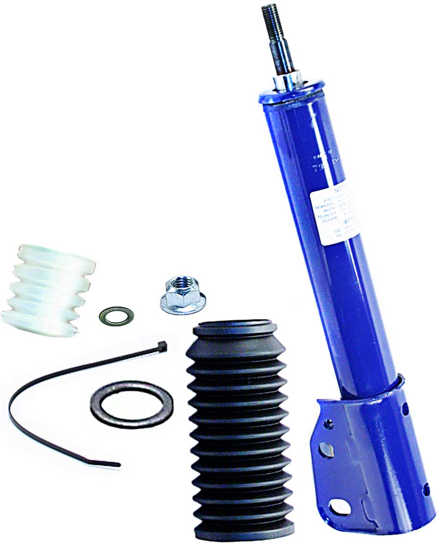 AM Shock Absorber and Strut Assembly SKU TS801799