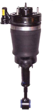 AM Shock Absorber and Strut Assembly SKU WSAS7315