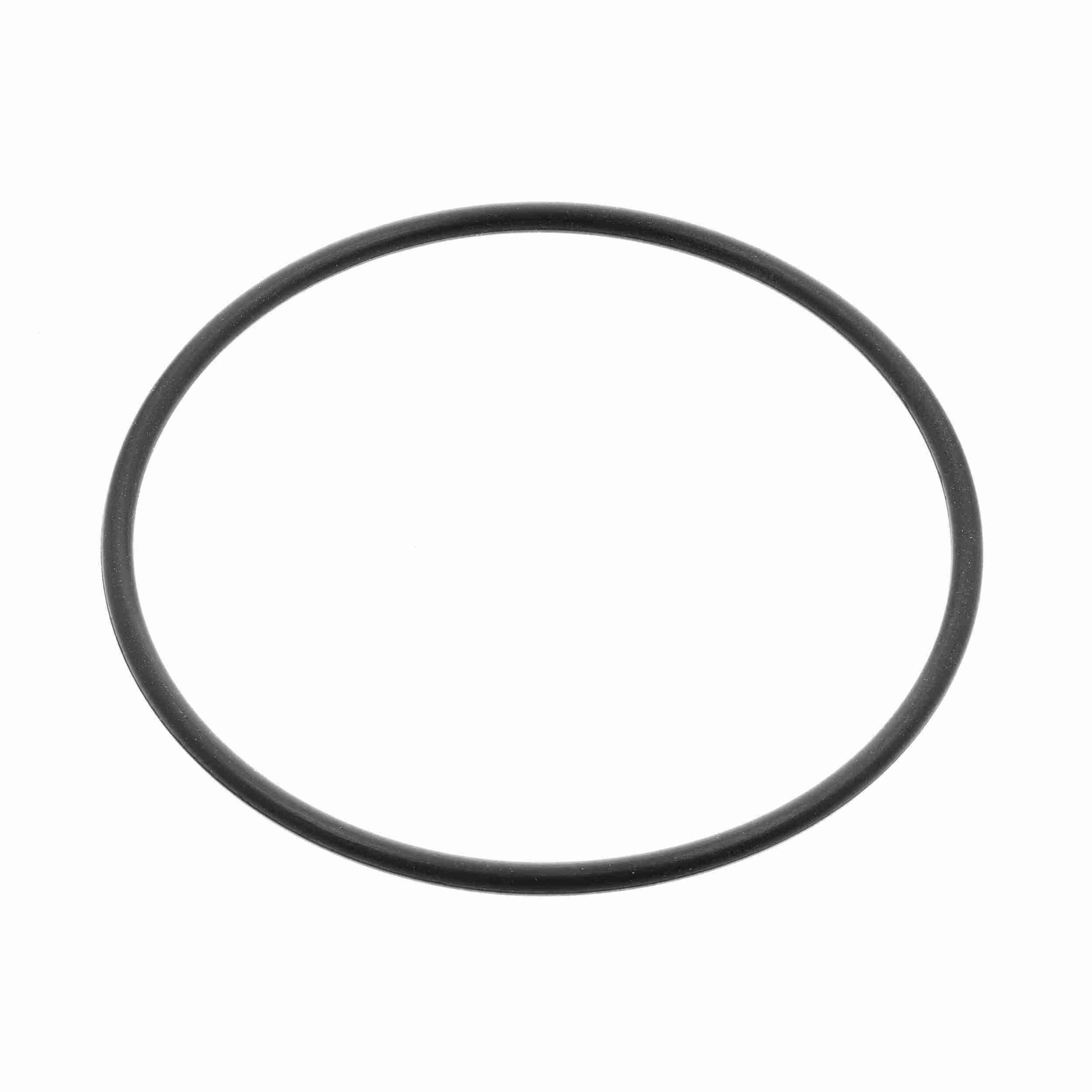 AM Engine Coolant Thermostat Gasket SKU Z8YV30999001 OEM 0159976145