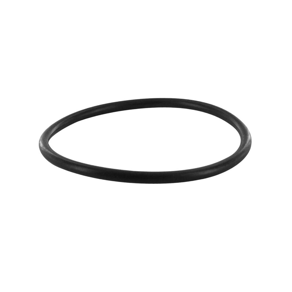 AM Engine Coolant Thermostat Gasket SKU Z8YV99990004 OEM 34121119