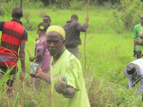 Appui à la protection des berges de la mangrove à travers le reboisement de 30 ha et 10 ha sur terre ferme dans le cadre de l'inter collectivité des CR de Dabiss, Kanfarandé et Sansalé, Préfecture de Boké.