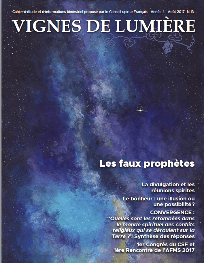 Couverture d’ouvrage : Vignes de Lumière - 13