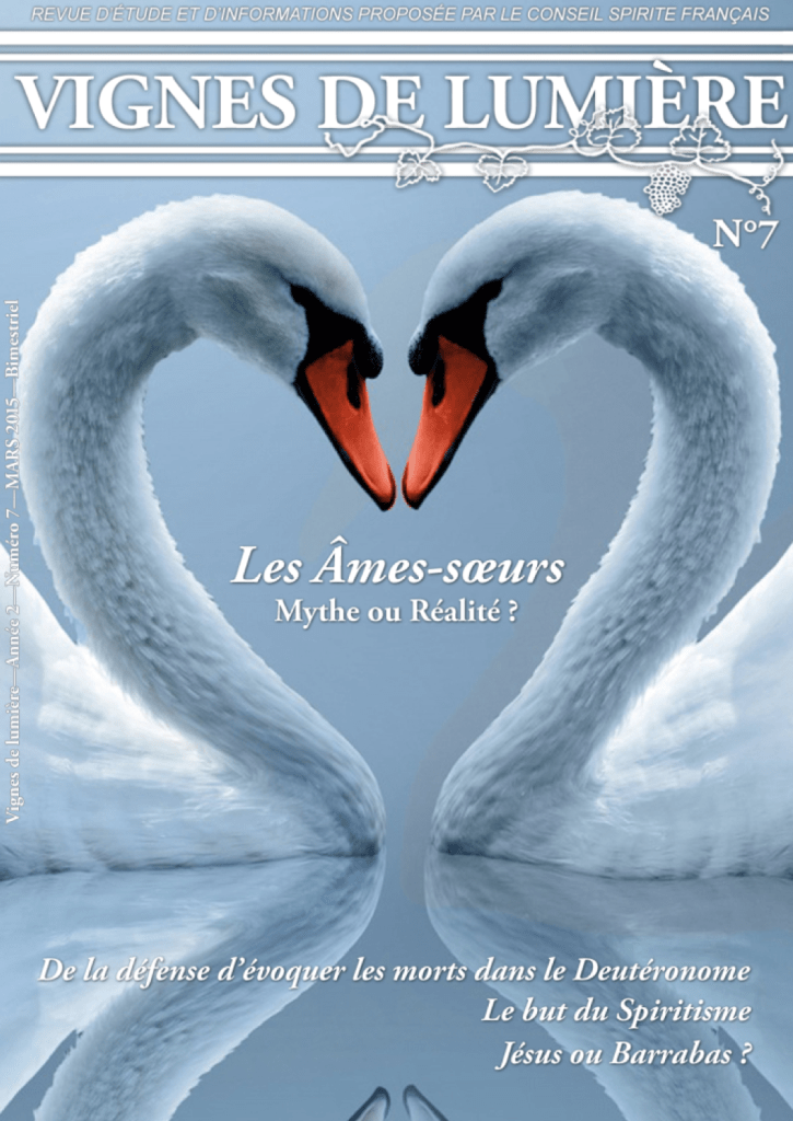 Couverture d’ouvrage : Vignes de Lumière - 7