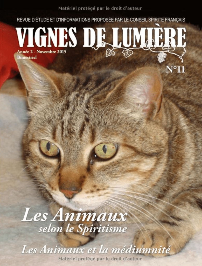 Couverture d’ouvrage : Vignes de lumière - 11