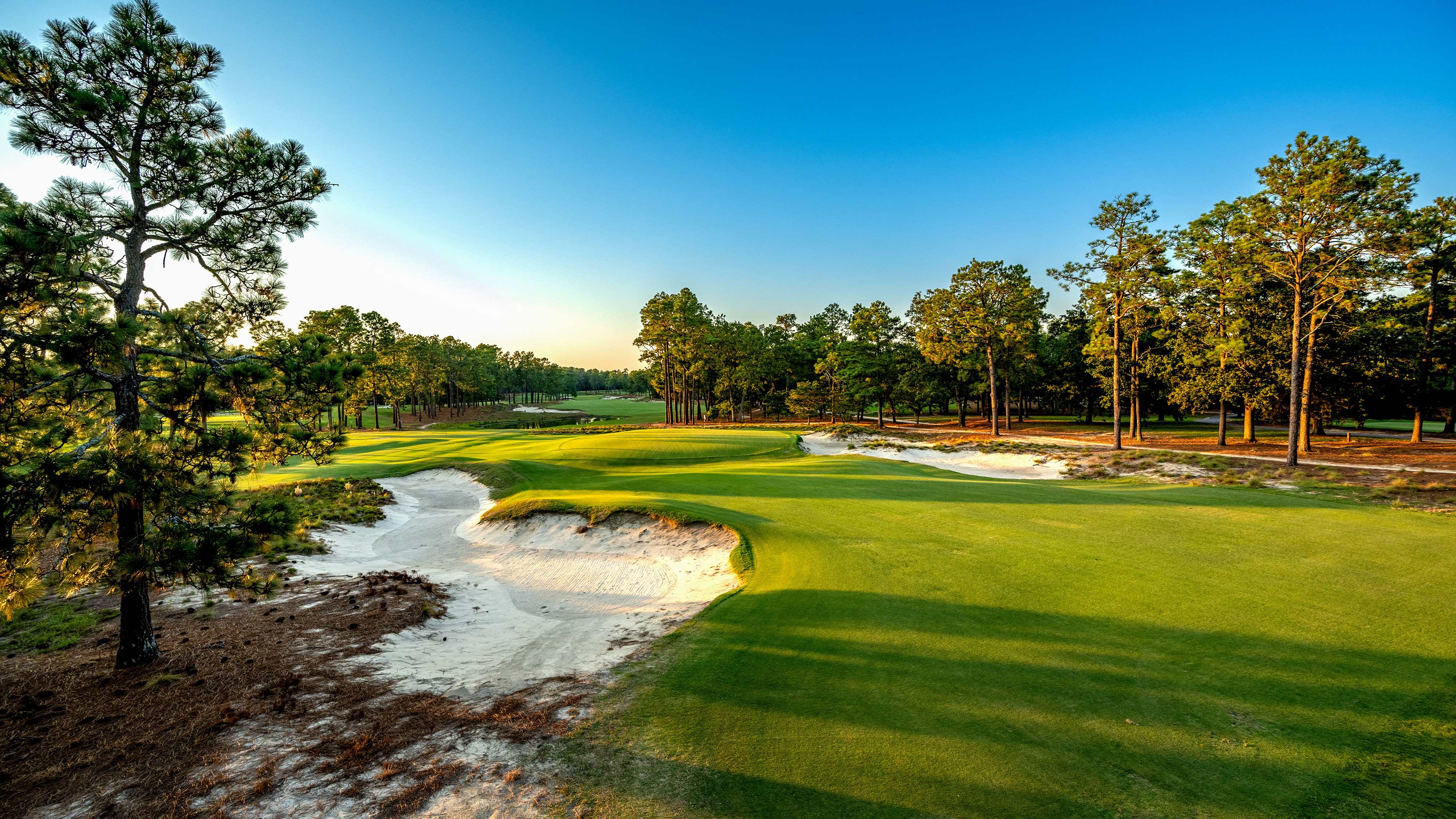 Course Tour of Pinehurst No. 2
