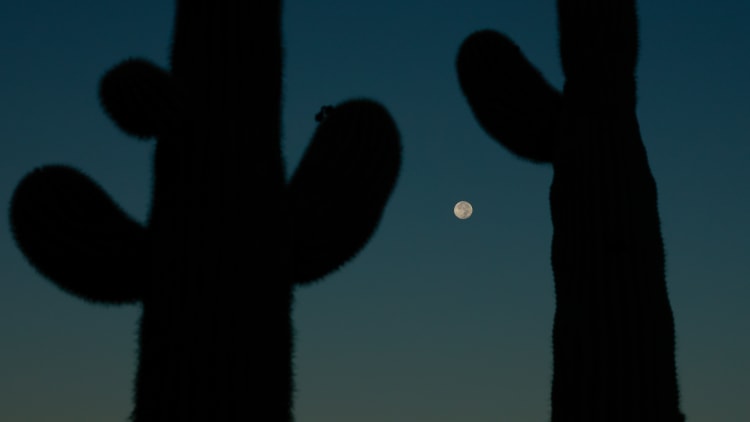 Troon Saguaro Amateur Series