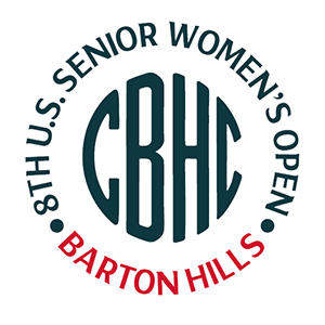 Not Defined Alt Text