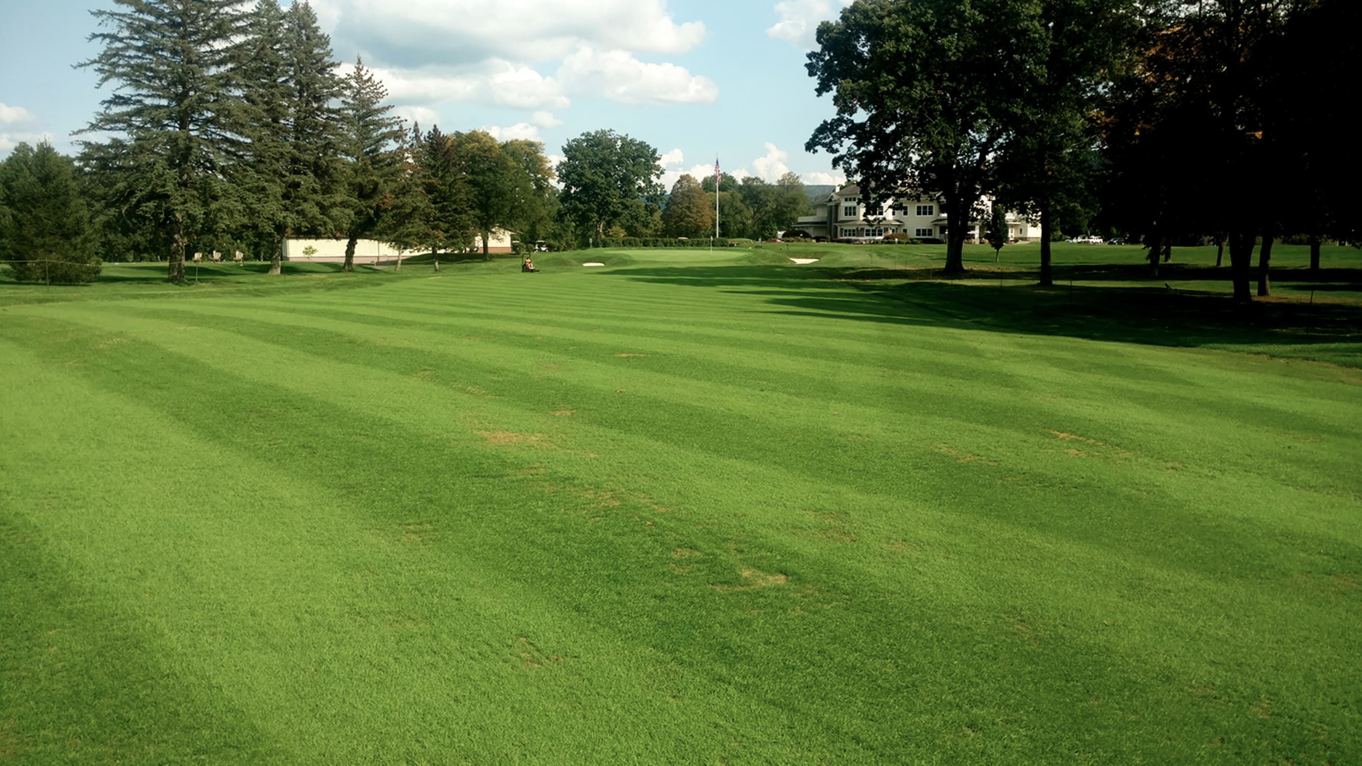 Fairway Regrassing Can You Afford Not To