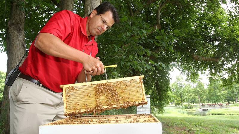 Salt Lake wants to keep Bees in place as city seeks major