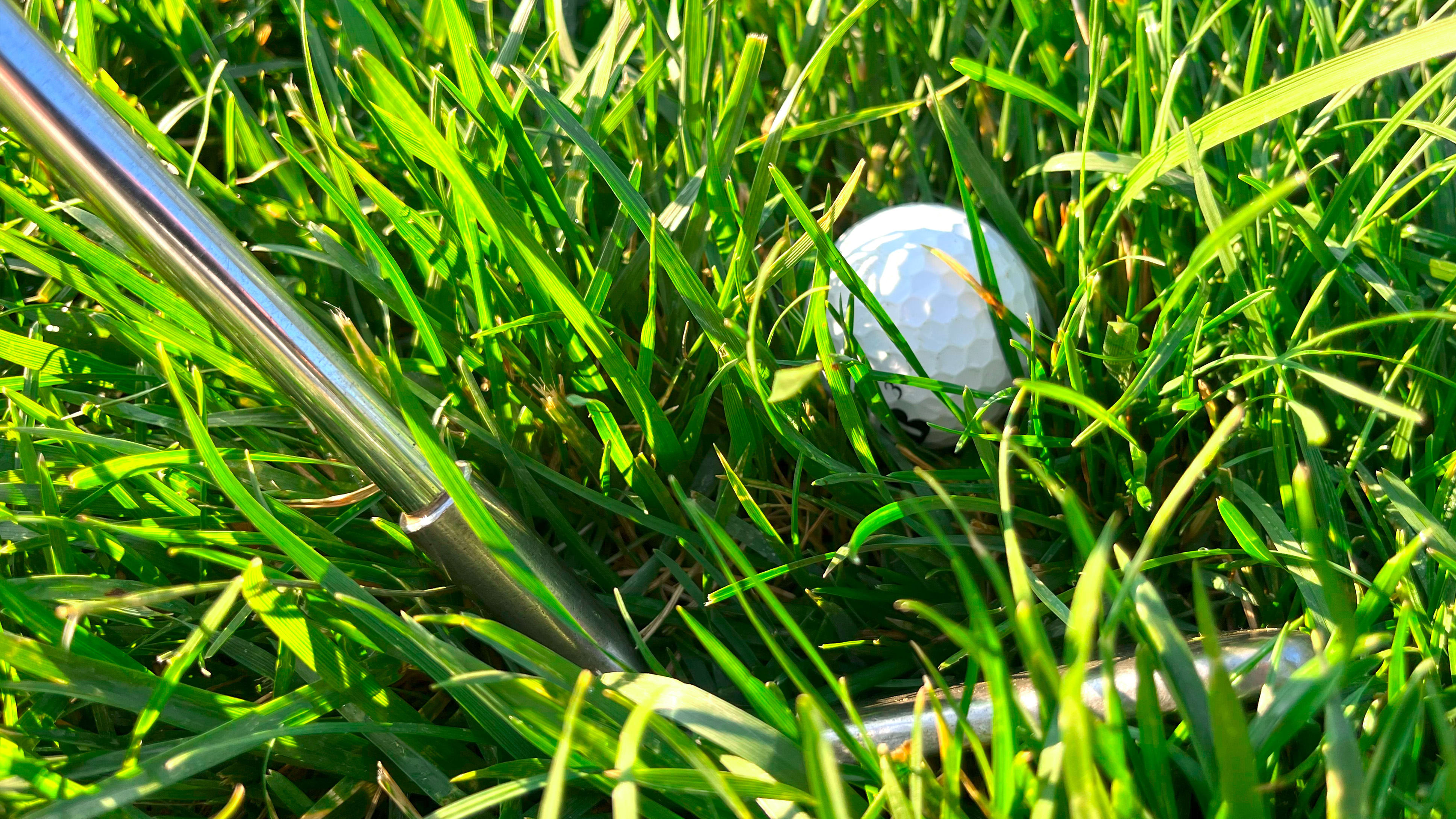 Grass meaning top