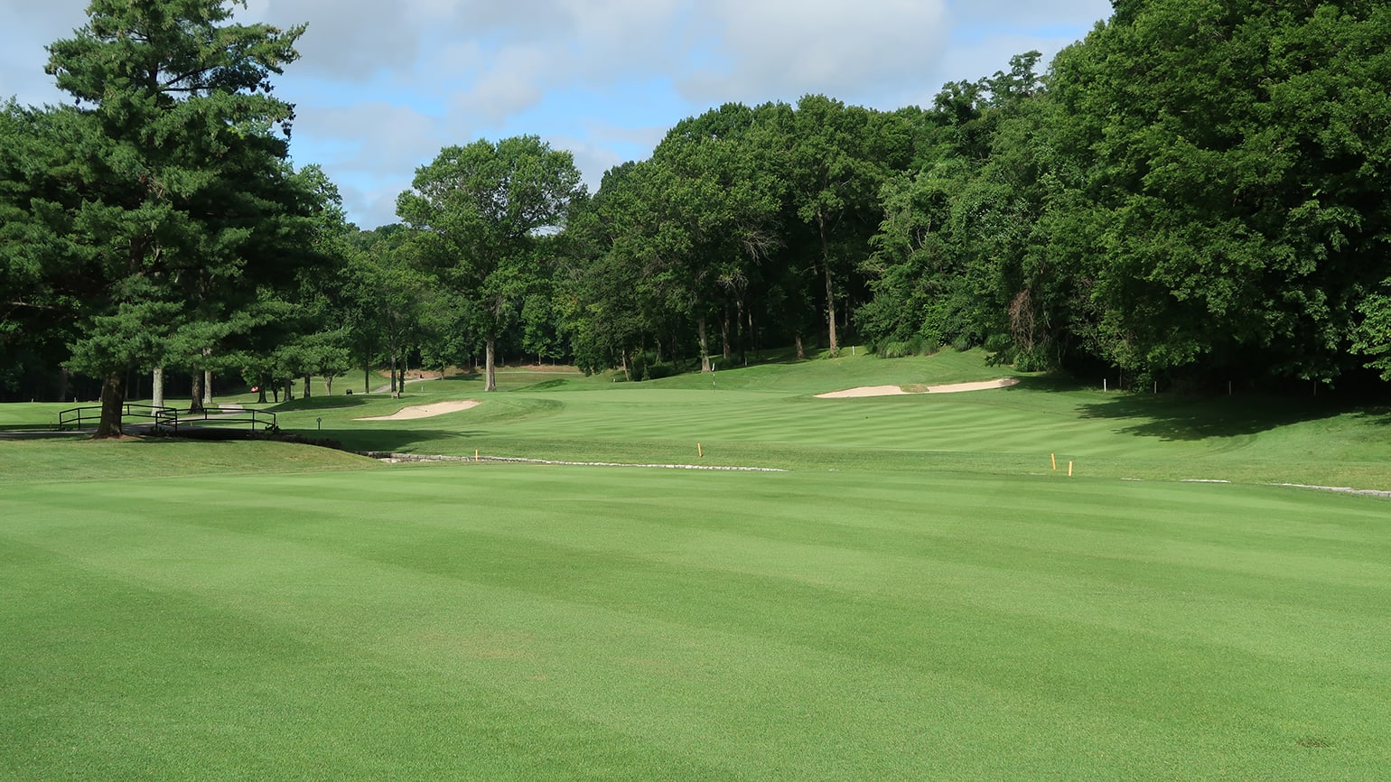 The Ins And Outs Of Zoysiagrass Fairway Management