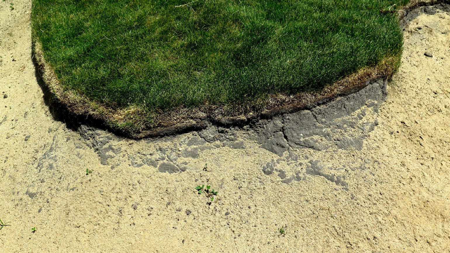 A Guide To Selecting the Right Bunker Sand for Your Course
