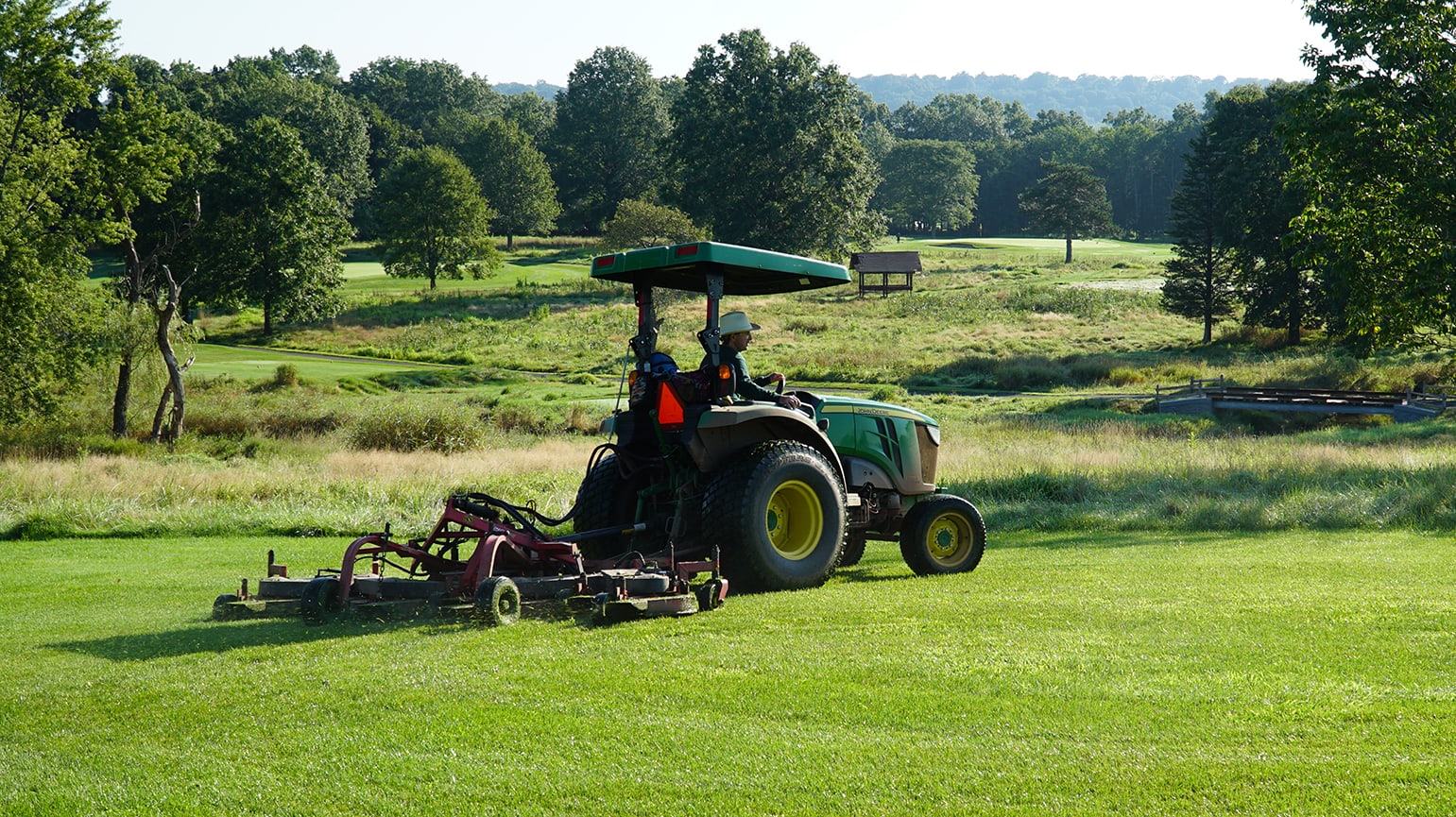 Rough grass mowing clearance