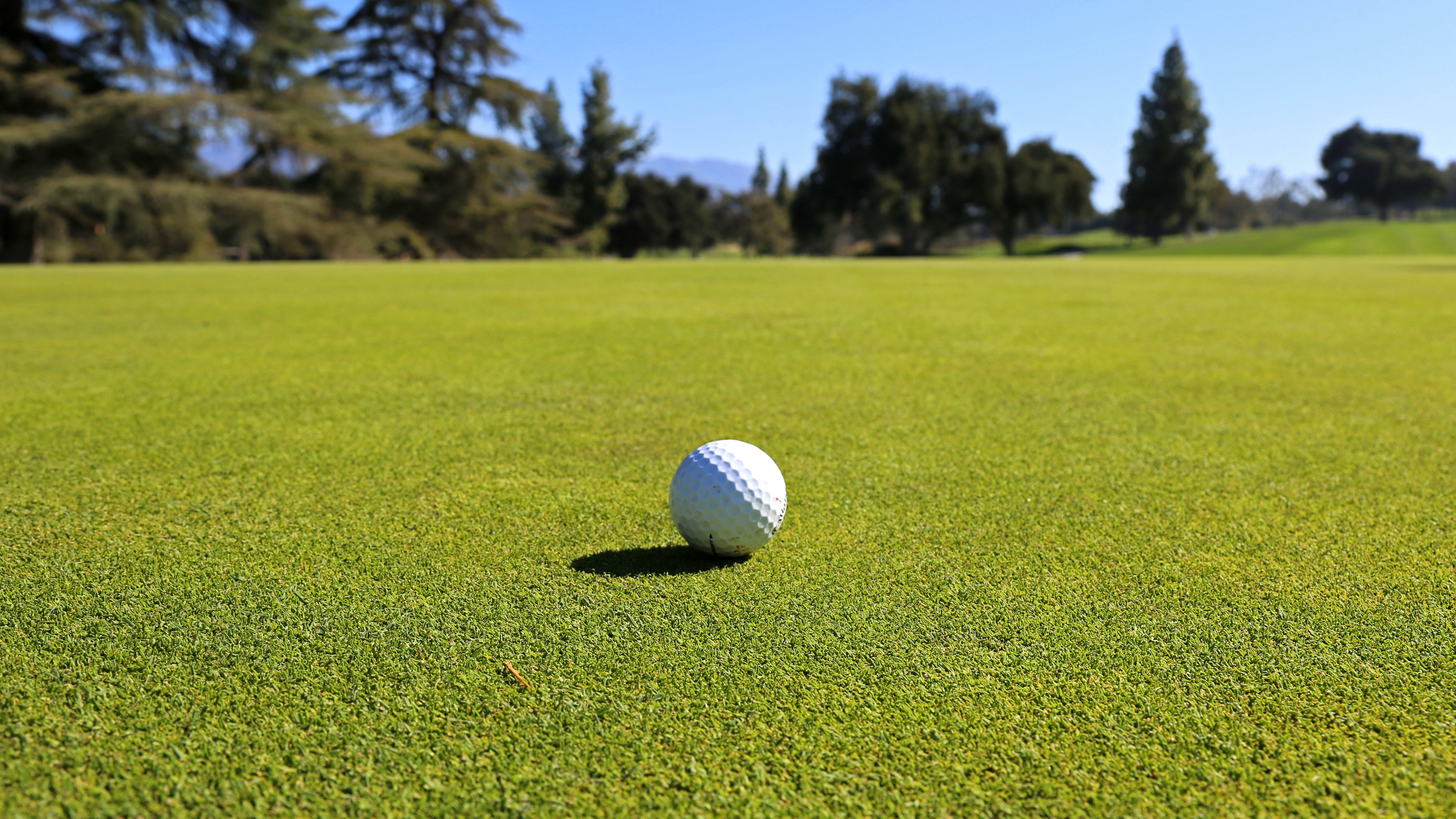 The Ins and Outs of Managing Poa annua Putting Greens