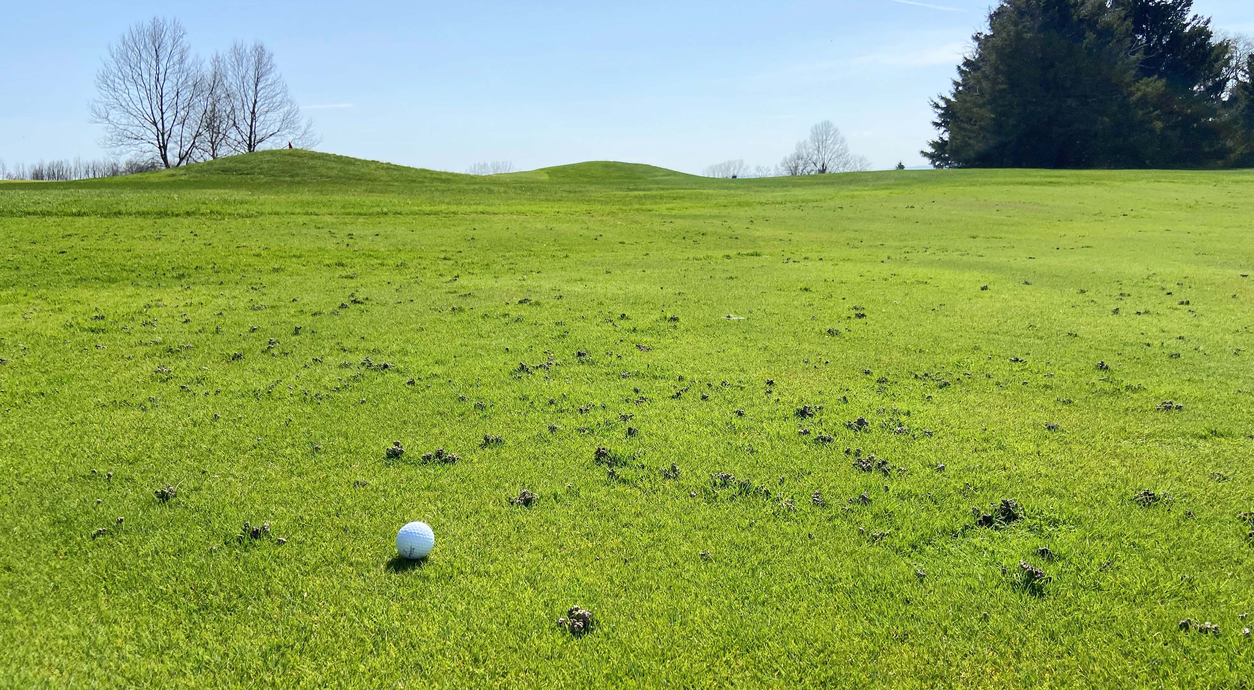 Managing Earthworm Casts on Golf Courses