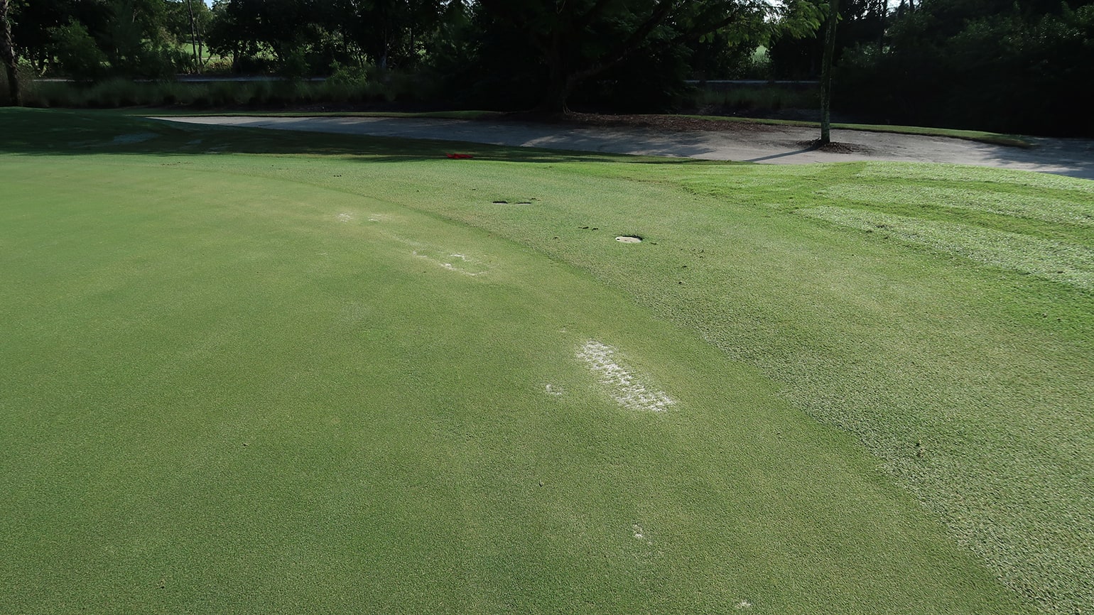 Whoa Nelly Winter Golf And Fast Greens Don T Mix