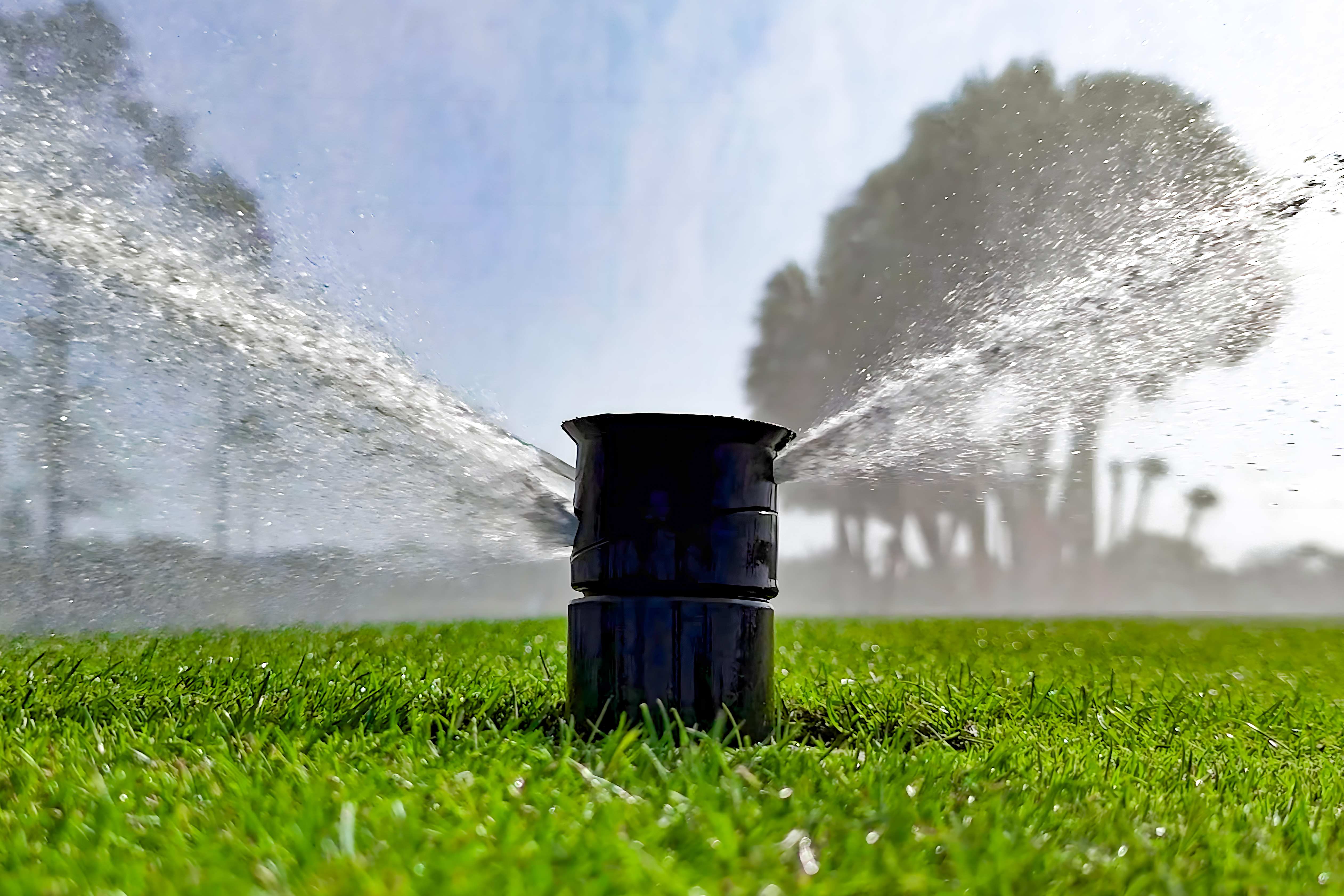 How to Deal With Salinity in Irrigation Water: Expert Tips