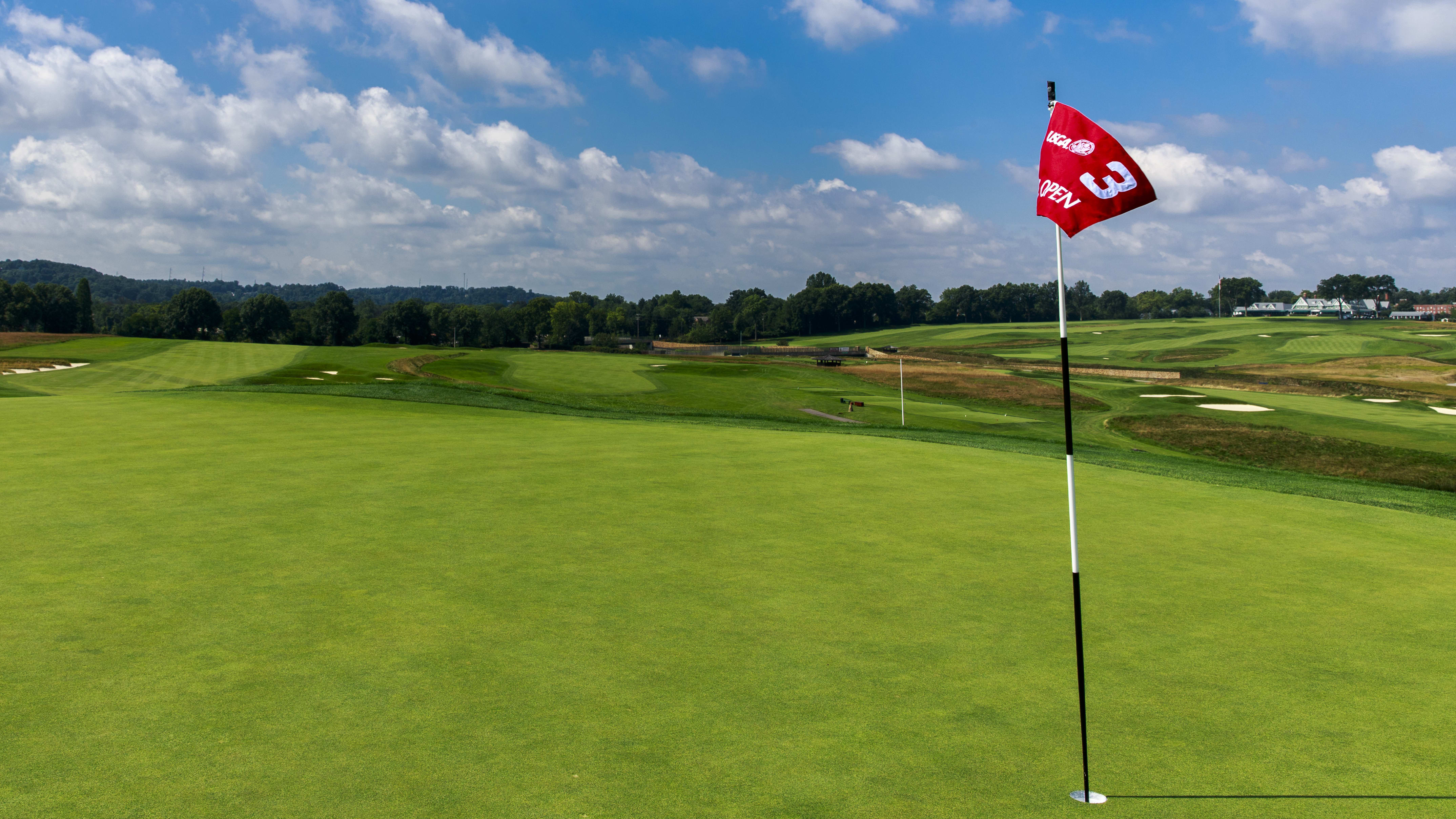 Understanding Poa annua pic