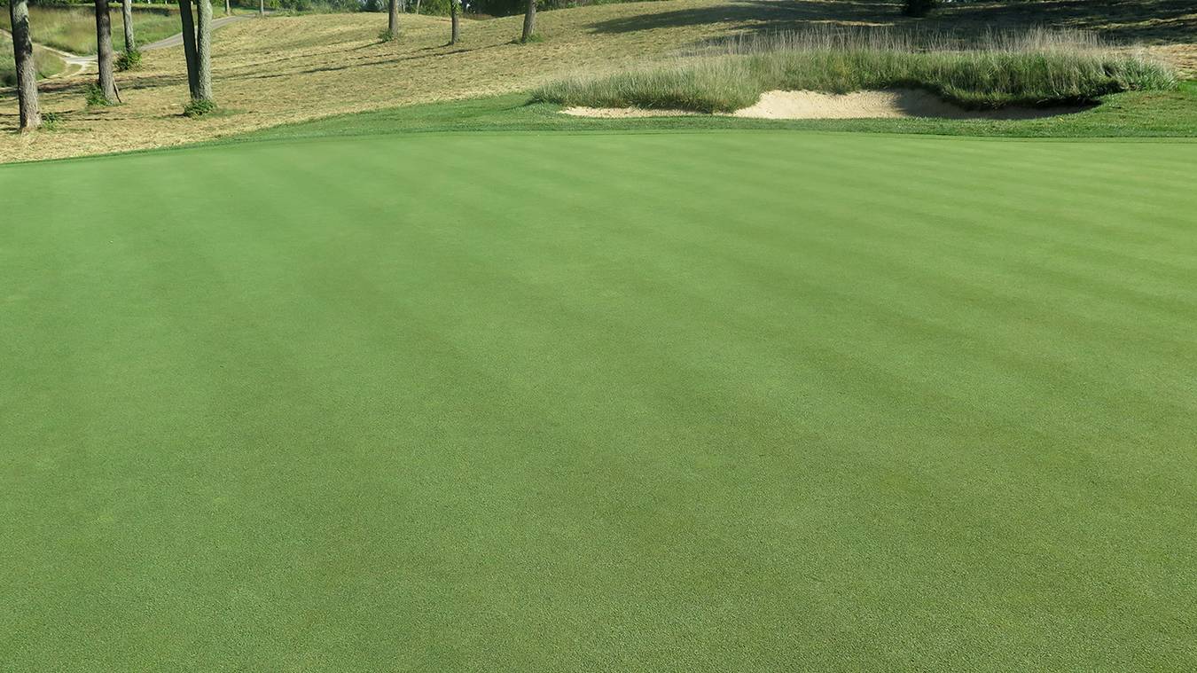 What To Expect When You're Expecting New Putting Greens