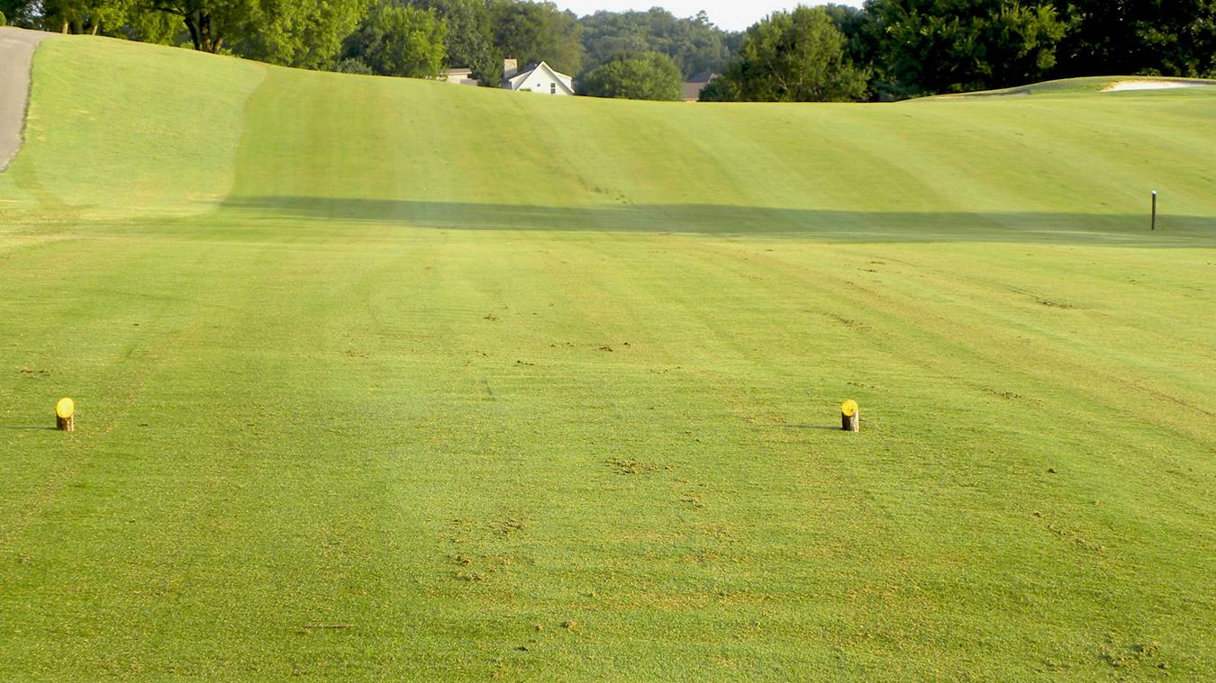 Usga Tee It Forward Chart