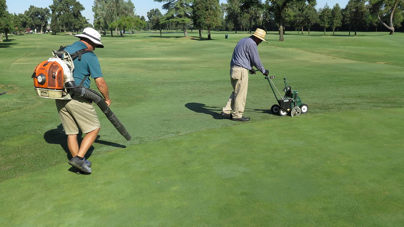 Discourage Warm Season Grass Encroachment Into Putting Greens