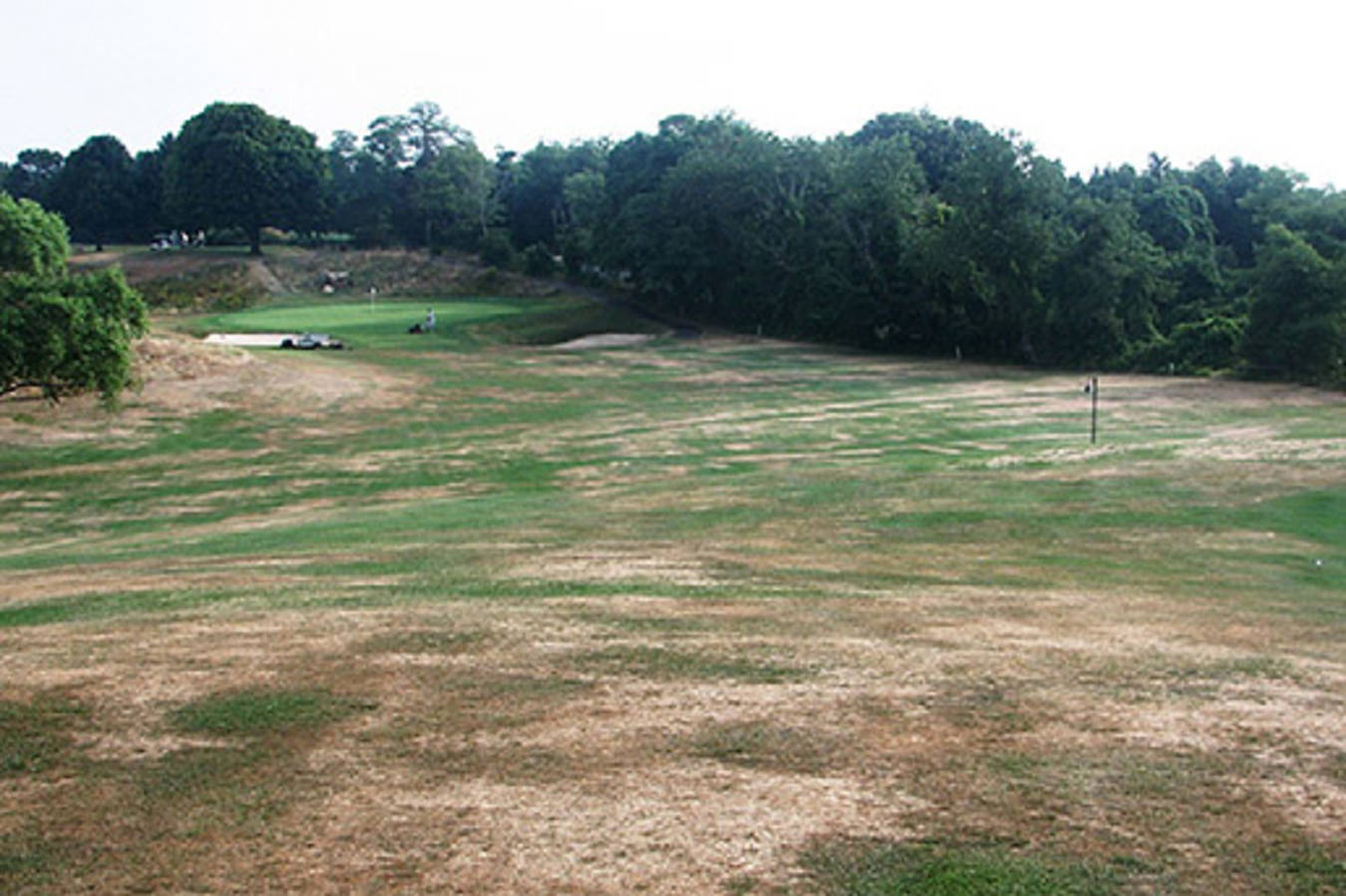 course care irrigate for playability turf health not color turfgrass irrigation