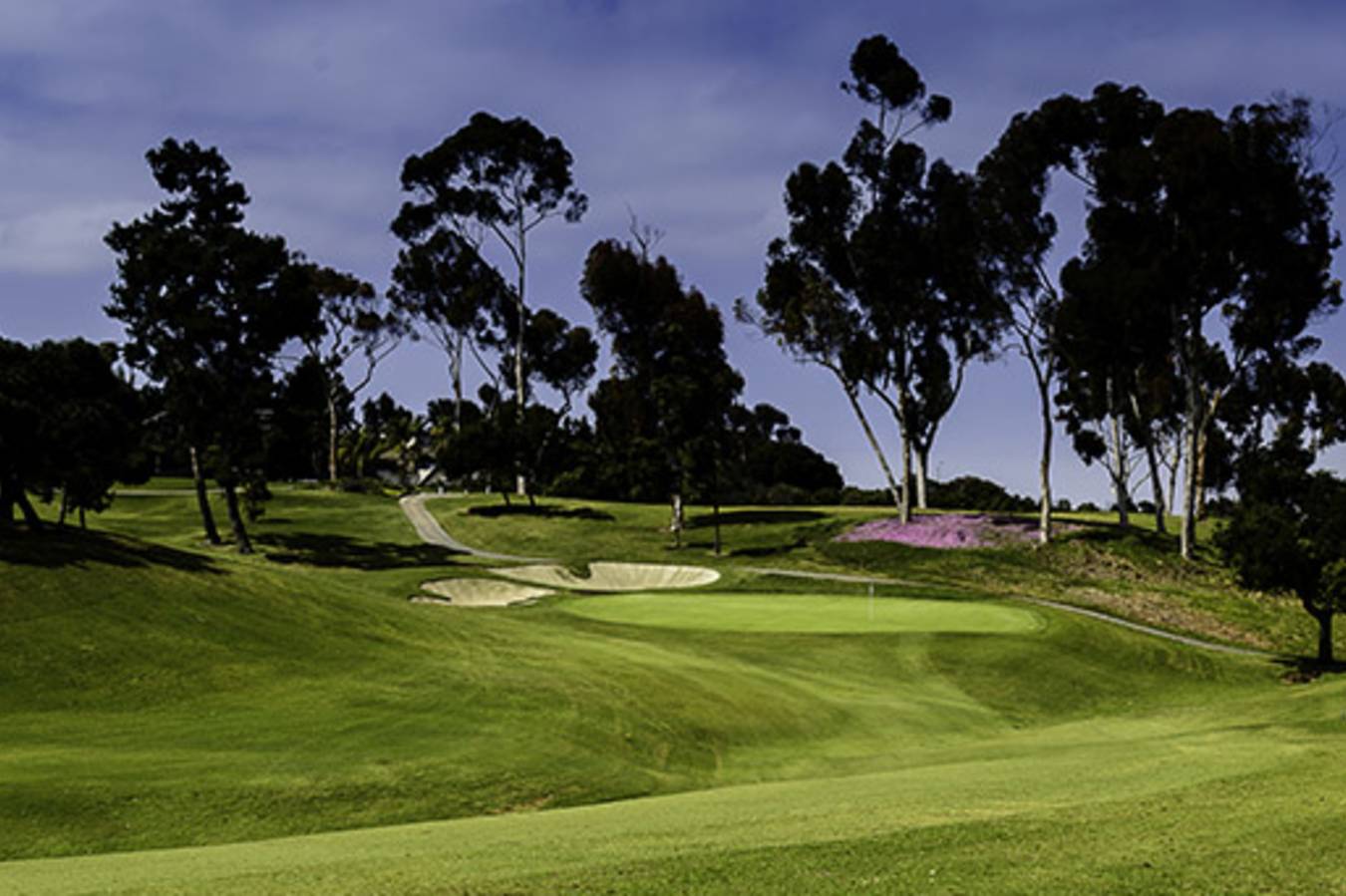 amateur san diego model