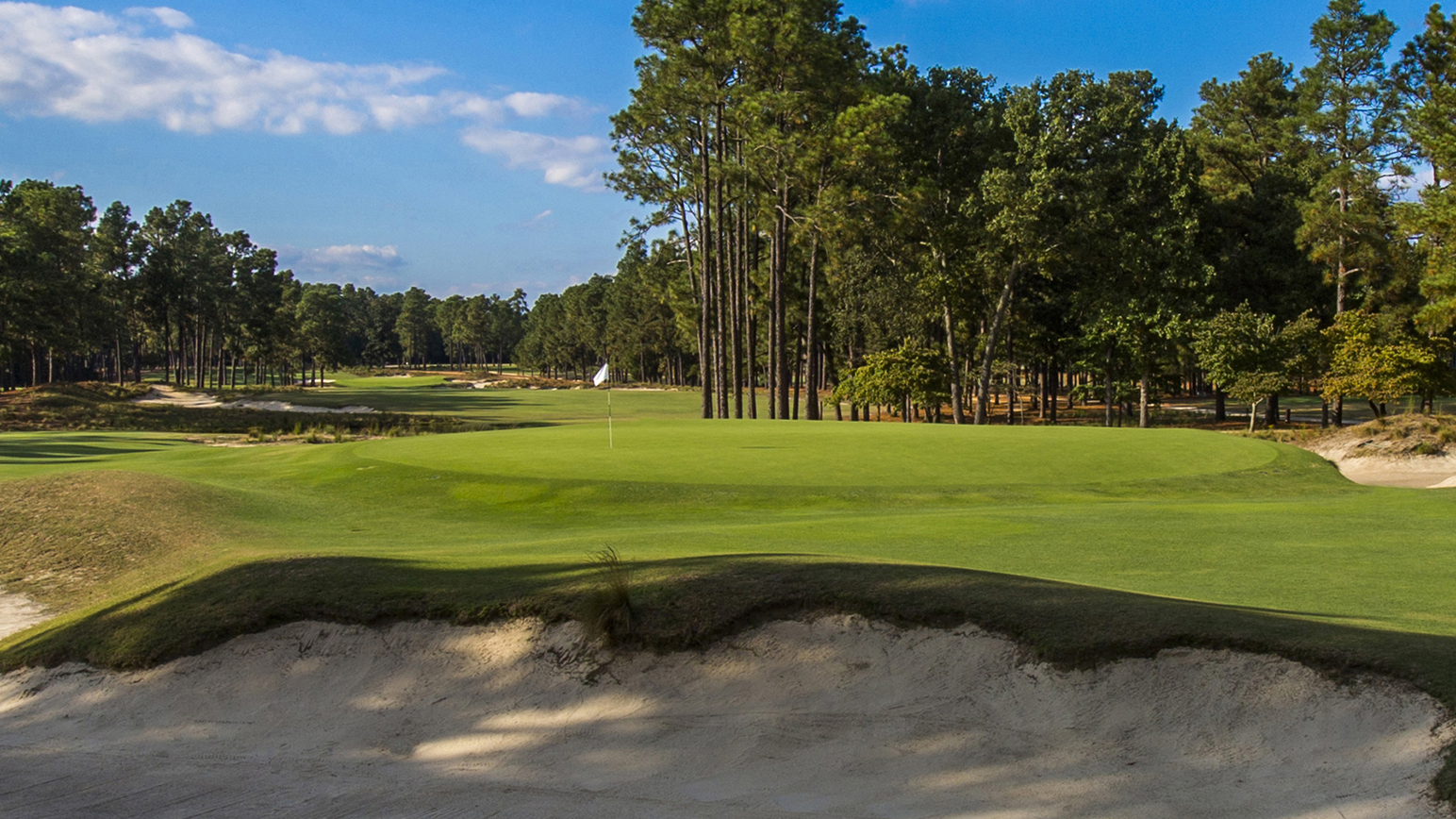 as-pinehurst-no-2-greens.jpg