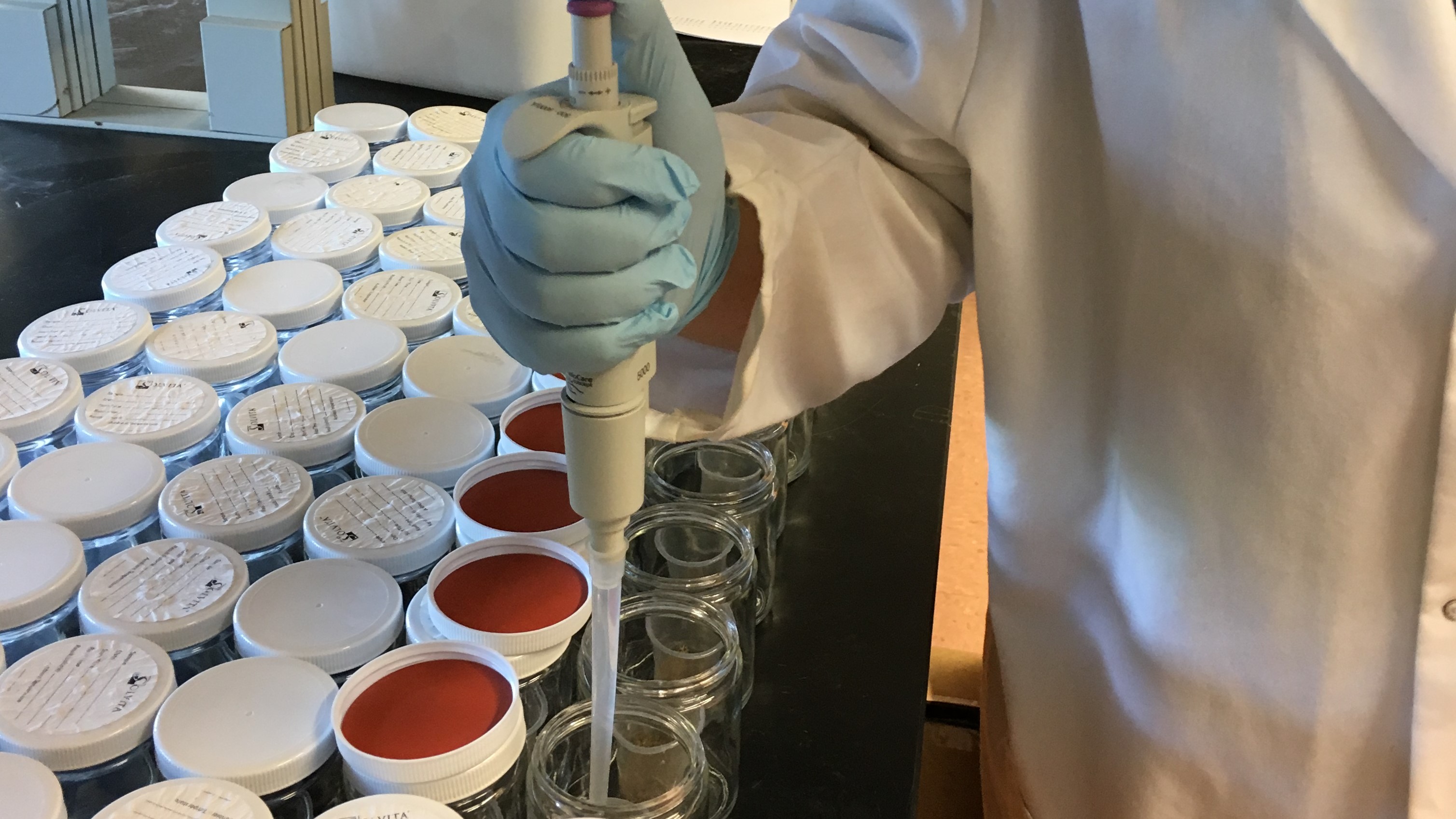 New Soil Tests to Guide Nitrogen Fertilization