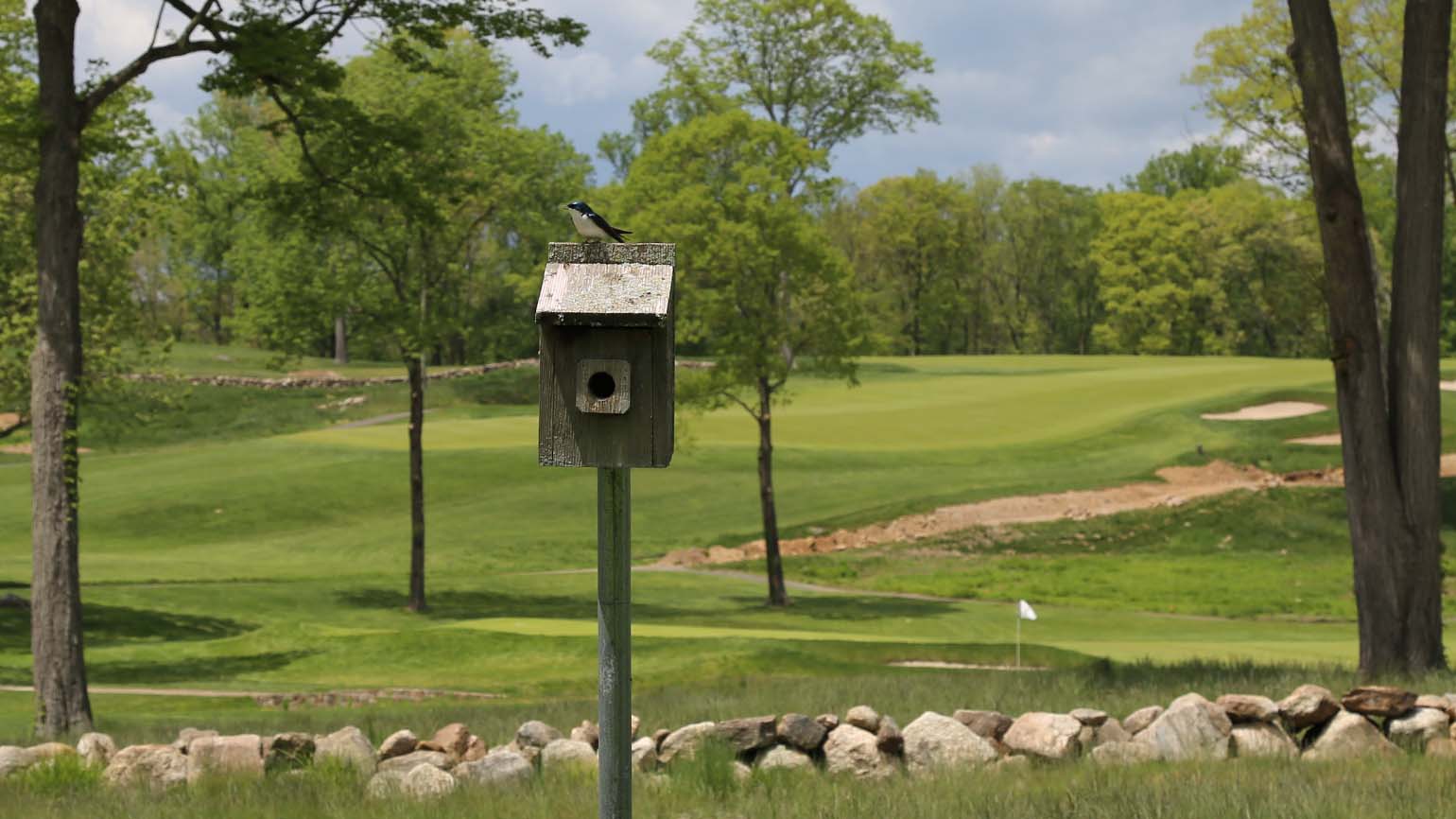 Creating and Protecting Habitat on the Golf Course