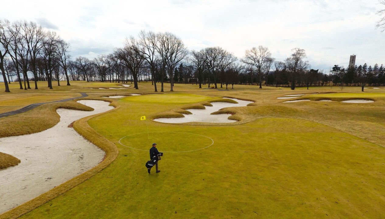 The Value of Temporary Greens